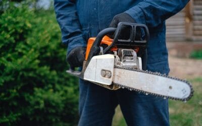 What Are the Different Types of Pruning Cuts for Trees?